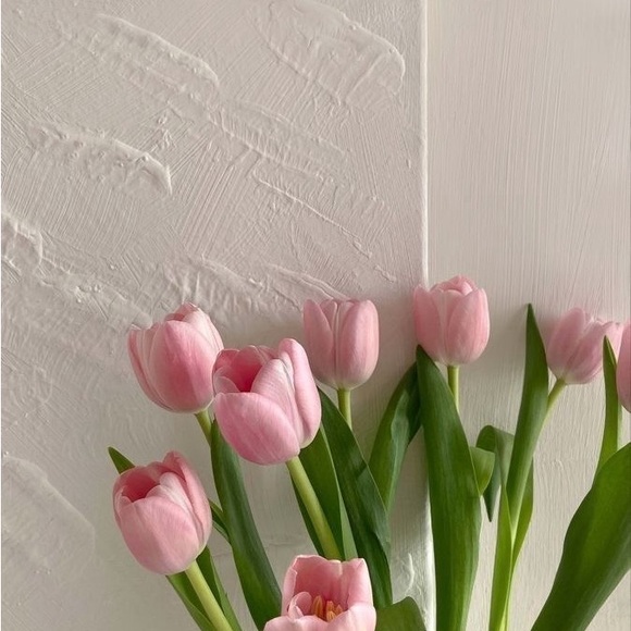 Meet your Posher, Ayari - Picture 1 of 1